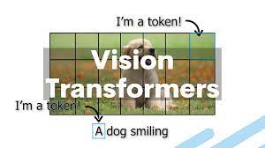 Transformer Vision